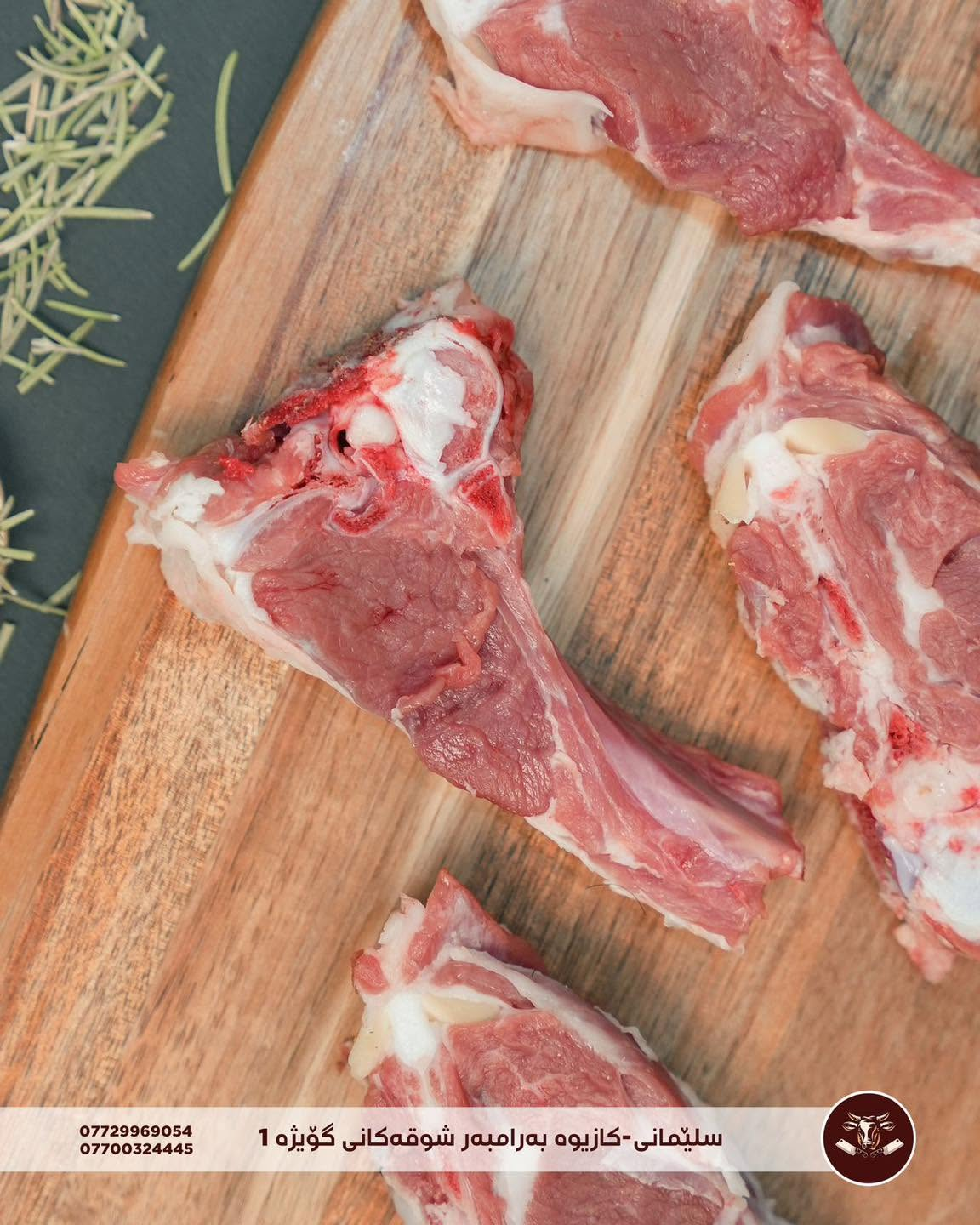 Lamb close-up